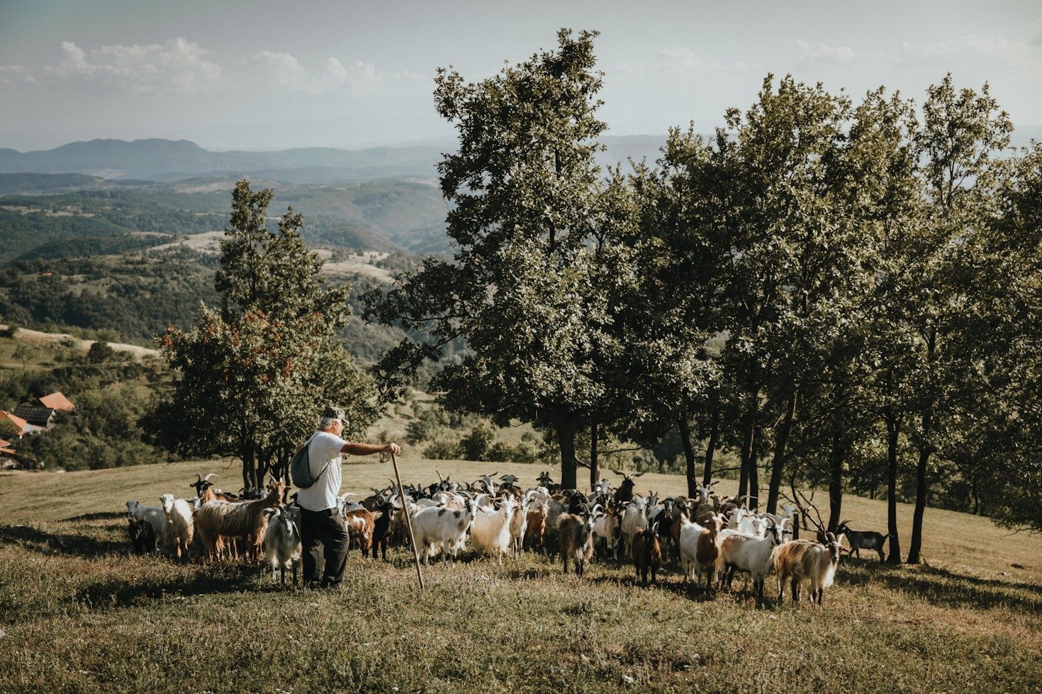 I migliori sentieri di trekking nei Nebrodi